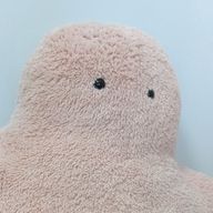 健やかちゃん𓈒 𓏸 𓐍さんのアイコン画像