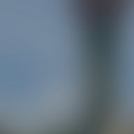 烏伯さんのアイコン画像