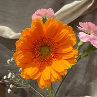 あんさんのアイコン画像