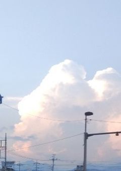 急にフォローされた方へ