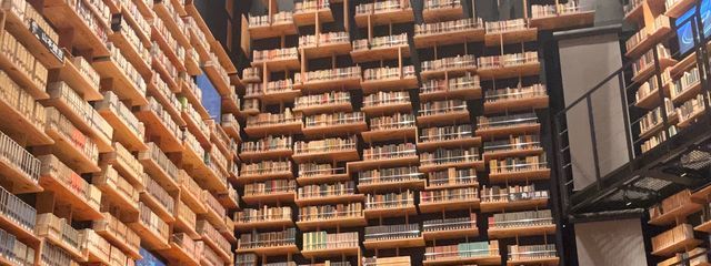 あむにのさんの壁紙画像