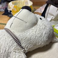 ネコザキさんのアイコン画像