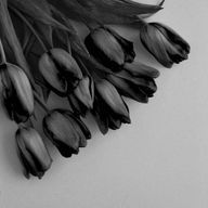 宵凪　彩華さんのアイコン画像