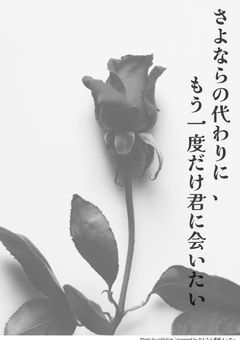 さよならの代わりに、もう一度だけ君に会いたい