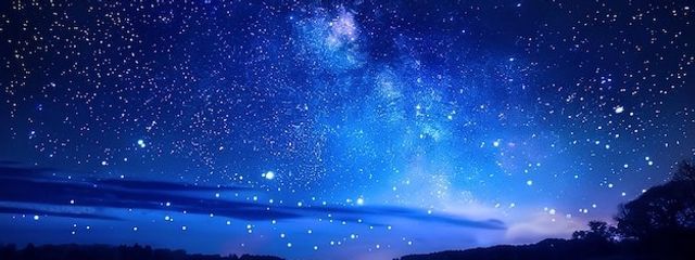 むぎさんの壁紙画像