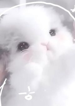 実写部屋