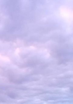 空けておいた場所。