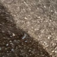 ⋆. 星宮 りぃ .⋆𝜗𝜚  さんのアイコン画像