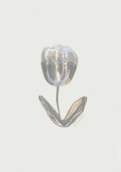 　　√♡𝕿𝕬𝕲 🐾