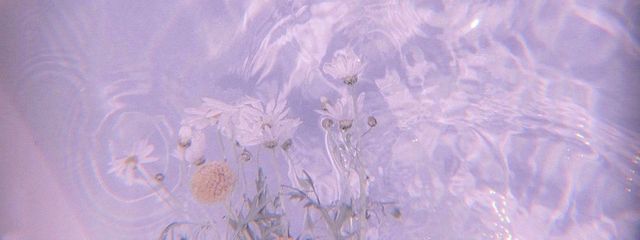 .*.꒰ঌ虹空🤍あぽろ໒꒱.*.さんの壁紙画像