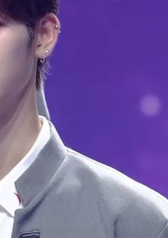 　猫のお気に入り