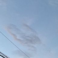 リンレイさんのアイコン画像