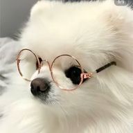 ぷりん@ぴちりすさんのアイコン画像