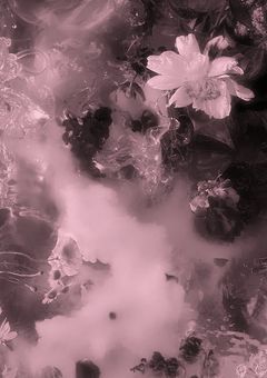 𝓻𝓸𝓸𝓶