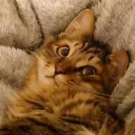 おかゆさんのアイコン画像