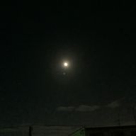 りのイルカさんのアイコン画像