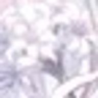 Ｋさんのアイコン画像