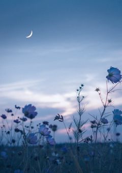 恋していくんだもん