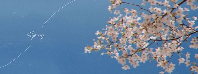 アポストロフィさんの壁紙画像