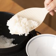 しゃもじ(?)さんのアイコン画像
