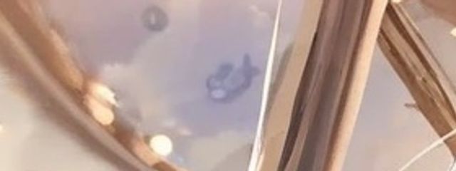 ゆうあさんの壁紙画像