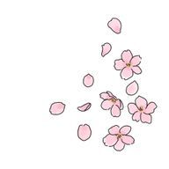 のんさんのアイコン画像