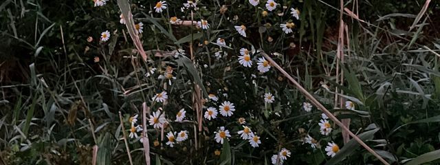 tokiさんの壁紙画像