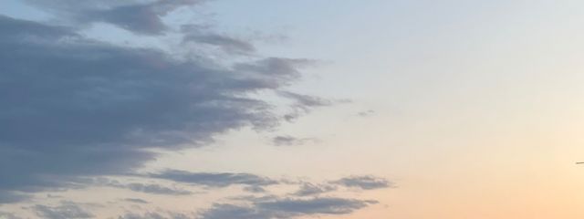 くらげ🪼🧊さんの壁紙画像