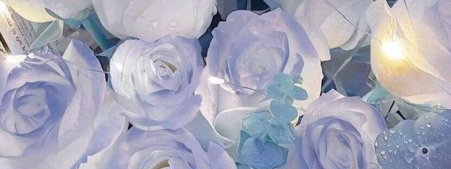 さんの壁紙画像