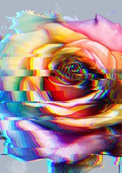 消えた色の薔薇を虹色に＿＿