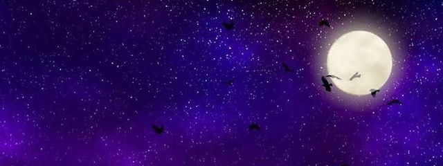 星華𖤐⋆@低浮上さんの壁紙画像