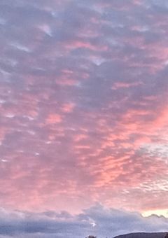 蜘蛛の糸に光る朝露