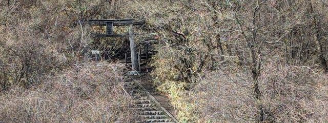 yuriさんの壁紙画像