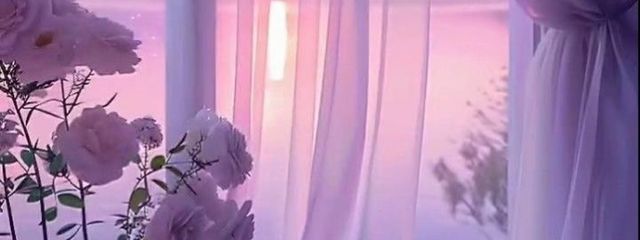 🌿さんの壁紙画像