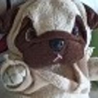 ぬいぐるみ帝国さんのアイコン画像