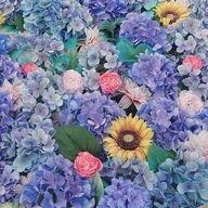 TOOOKOさんのアイコン画像