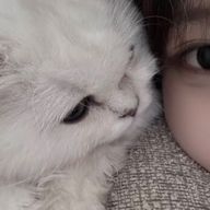                               さんのアイコン画像