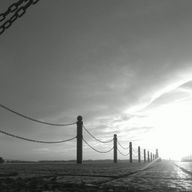 LOSERさんのアイコン画像