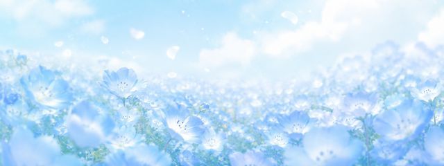 酒粕と言う名の狐雨曇/ムサベツヤメテクレメンスさんの壁紙画像