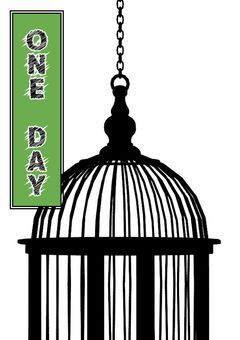 ゾロの幼馴染、ミホークに拾われてた