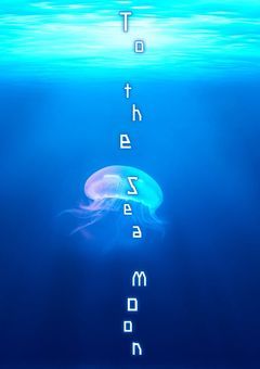 To the sea moon