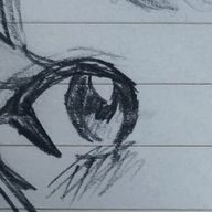 ニョンさんのアイコン画像