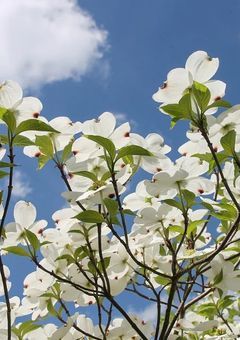 愛することは、愛されること<短編集>