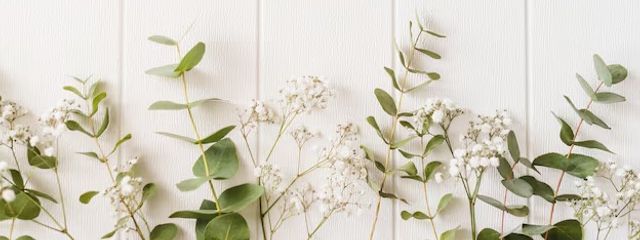 ほうじちゃ(ただいま病気療養中につき更に低浮上）さんの壁紙画像