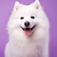 ANZUさんのアイコン画像