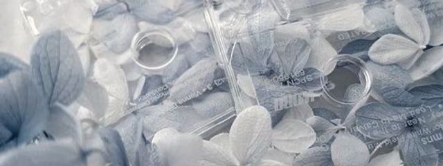 　音亜依 るなさんの壁紙画像