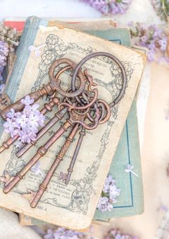 ãW.ãäžè²ã®ãªã¢ãåŽ - å¯ãéãé.