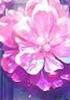 お願い゛あの子"をすくって