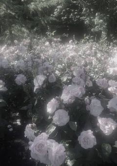 𝑴𝒀 𝑫𝒊𝒂𝒓𝒚