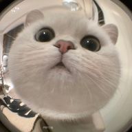 🎀さんのアイコン画像